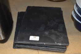 *Nine Slate Food Serving Platters