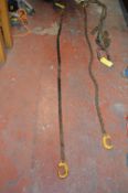 *2-ton 6ft Single Leg Lifting Chain with G-Hook