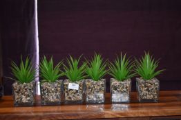 *Six Artificial Air Plants