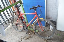 Incisor Virus Bicycle