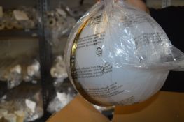 *iLite Frosted Glass Globe Ceiling Light