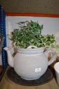 *Teapot Planter with Artificial Foliage and LED Lig