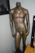 Male Mannequin