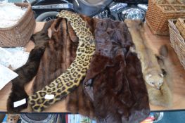Fur Stoles and Tippets