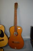 Hi Spot Acoustic Guitar