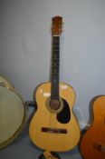 Classical Acoustic Guitar