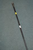Silver Topped Walking Cane