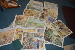 Forty Six 1950's School Posters by Ilene Soper plu