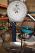 *Salter Model 233 Hanging Scales