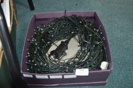 300ft/100 Yards Blue & White String Lights (working condition)