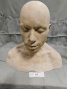 *Plaster Head Cast