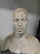 * Plaster Cast Bust