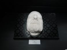* Plaster Face Cast Marked 