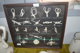 Framed Knots
