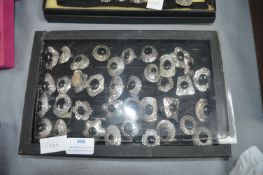 Quantity of Goth Style Rings