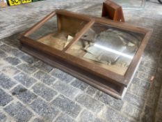 A large Edwardian oak counter top sloping fronted display cabinet with lift up glass top, 49
