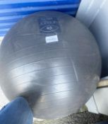 1 x Pro Gym Jordan 65cm 1000kg Exercise Training Ball - Dimensions (mm): 650