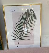 1 x Gold Framed Print Of Leaf - Size: 300mm (w) x 450mm (h) - CL776 - Ref: GB012 - Location: