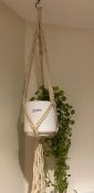 1 x Set Of Five Hanging Posts With Artificial Flowers - CL776 - Ref: GB081 - Location: London