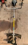 1 x TITAN Petrol Brush Cutter/Strimmer TTL530GBC - CL464 - Location: Liverpool L19