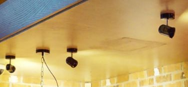 20 x Directional Ceiling Mounted Restaurant Spotlights In Black - From a Popular American Diner -