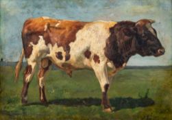 Willem Tjarda van Starckenborgh Stachouwer
