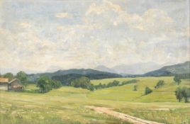 Emil Werz