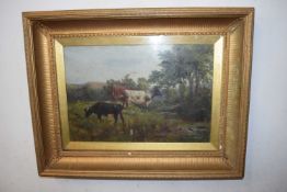 Oil manner of TS Cooper