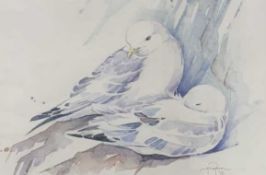 British, contemporary, 'Kittiwakes', watercolour, indistinctly signed, framed and glazed.
