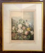After Robert John Thornton (British, late 18th-early19th century) 'Roses' from The Temple of