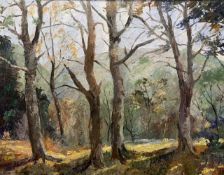 British school, 20th century, Autumnal woodland scene, oil on board, indistinctly signed, framed