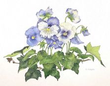 Sara Kenyon (British, contemporary), a pair of botanical watercolours, signed, framed and glazed (