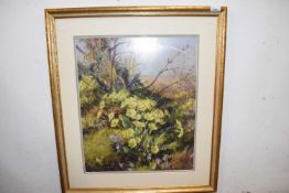 Vernon de Beauvoir Ward (British, 20th century) primroses, chromolithograph, signed, 21x18ins,