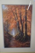 After Reginald Daniel Sherrin (British, 20th century) Autumnal woodland scene, chromolithograph,