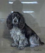 British School, 20th Century, A portrait of a seated dog, pastel on coloured buff paper,