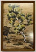 Australian, 20th century, acrylic on tree bark, signed 