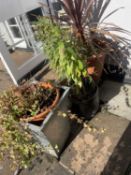 Mixed lot of various planters to include plastic, stainless steel etc including contents