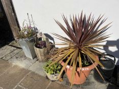 Mixed lot of various planters to include plastic, stainless steel, including contents
