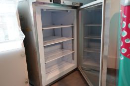 Blizzard Single Door Display Freezer