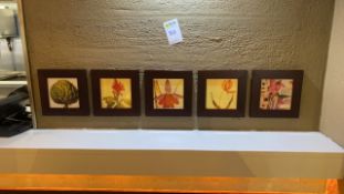 Set of 5 framed pictures