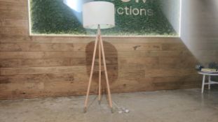Free Standing Lamp x2