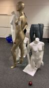 Assortment of Mannequins