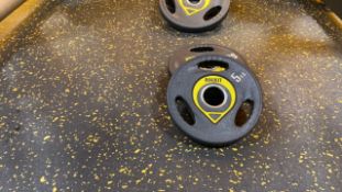 Quantity Of x10 5kg Plate Weights