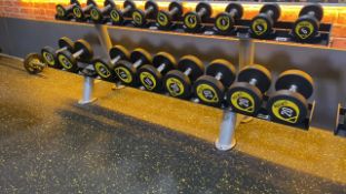Rockit Dumbbells With Racking