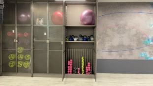 Contents Of Gym Cupboard