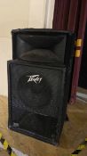 Peavey Speaker