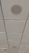Ceiling Speaker X10
