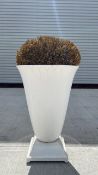 Boxwood in Ceramic Urn Planter