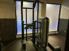 Assisted Chin Dip Machine