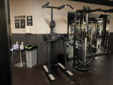 DW Sports Chin Up Station